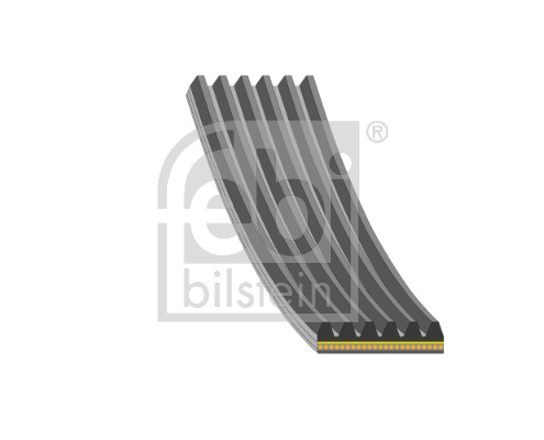 Febi 179843