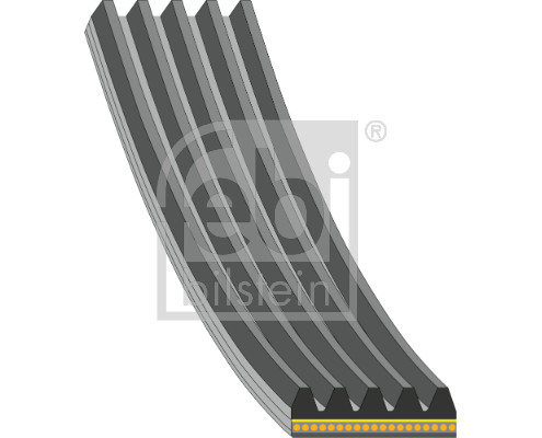 Febi 181286 5 Rib Multi V Drive Belt