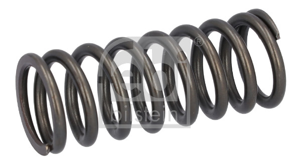 Febi 188164 Valve Spring