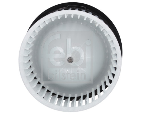 Febi 197955