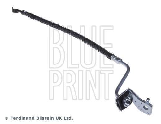 Blue Print ADG053265