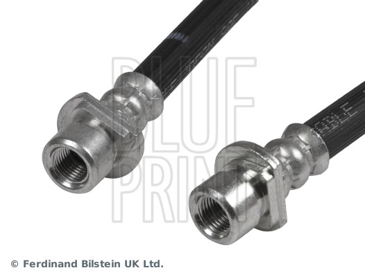 Blue Print ADH253187