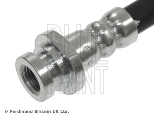 Blue Print ADN153195