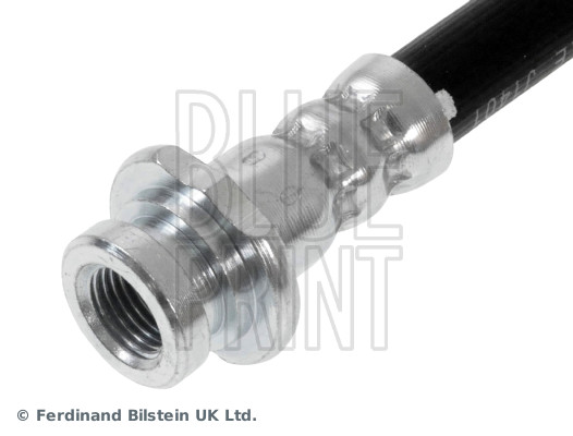 Blue Print ADN153220