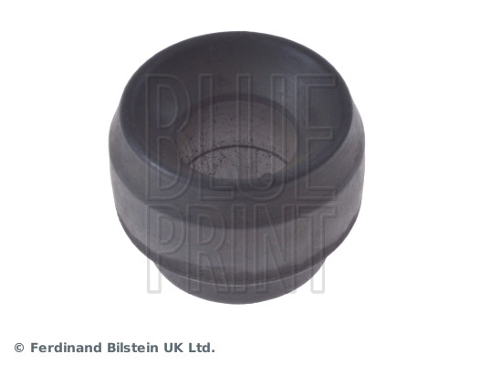 Blue Print ADJ138049