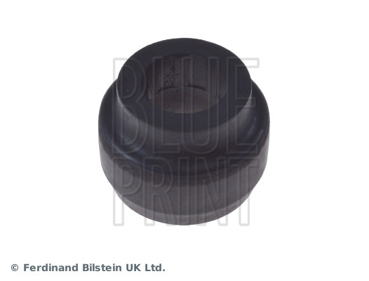 Blue Print ADJ138049