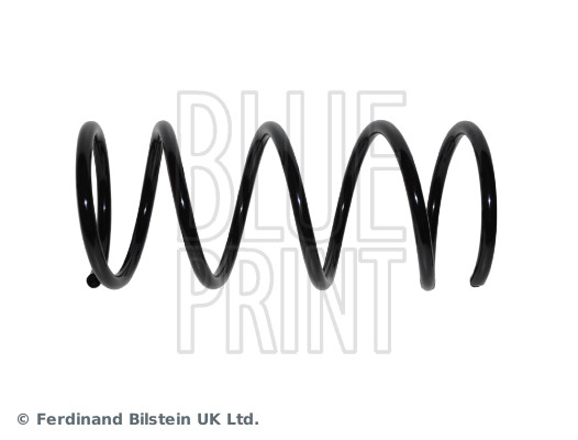 Blue Print ADN188371