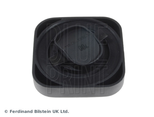 Blue Print ADJ139903