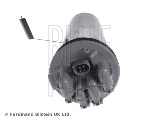 Blue Print ADJ136801