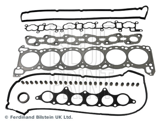 Blue Print ADN162173