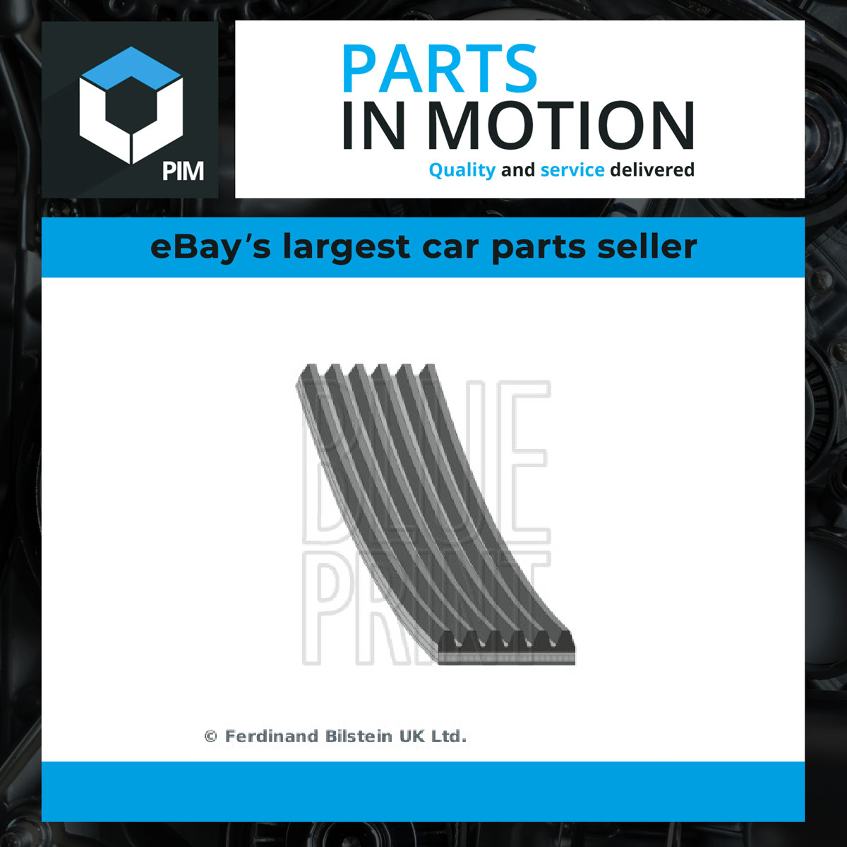 Blue Print 6 Rib Multi V Drive Belt AD06R1425 [PM106329]