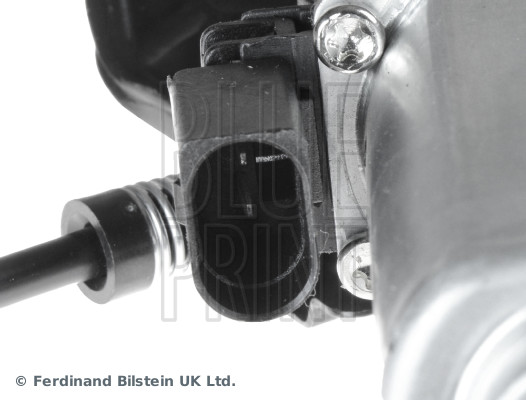 Blue Print ADJ131305