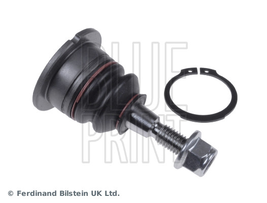 Blue Print ADJ138601