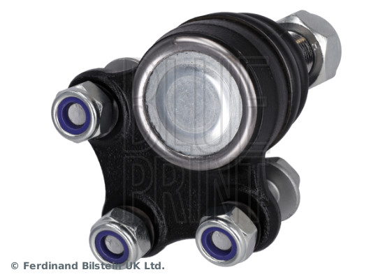 Blue Print ADN186107