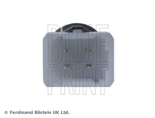 Blue Print ADN11457