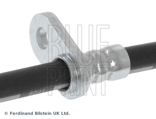 Blue Print ADH253176