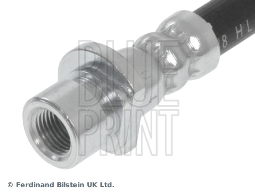 Blue Print ADH253176