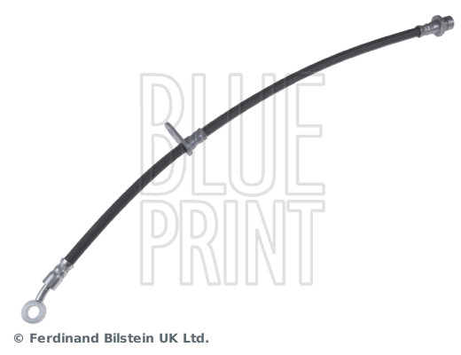 Blue Print ADH253202