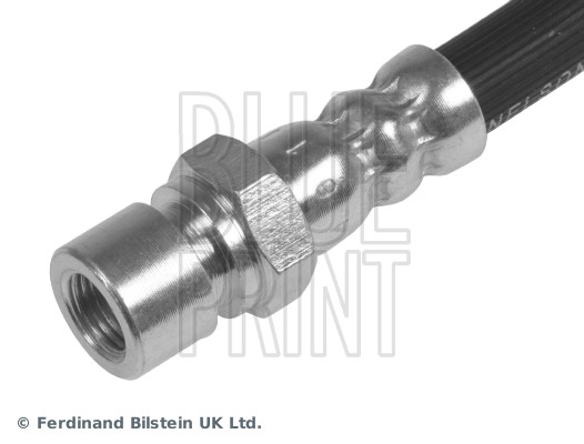 Blue Print ADN153902