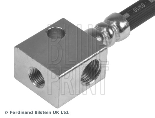 Blue Print ADN153904