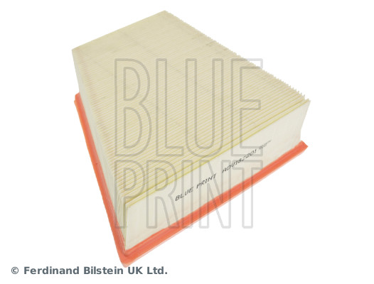 Blue Print ADV182201