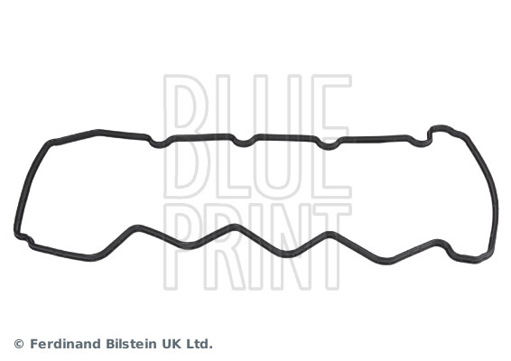 Blue Print ADN16762