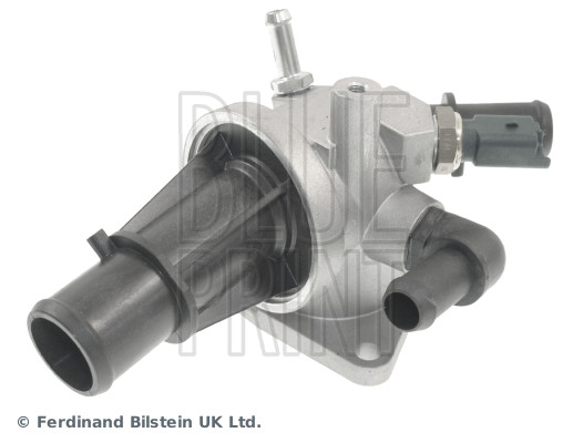 Blue Print ADZ99215C