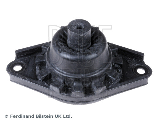 Blue Print ADN180108