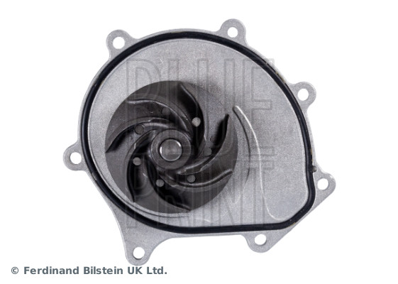 Blue Print ADJ139119