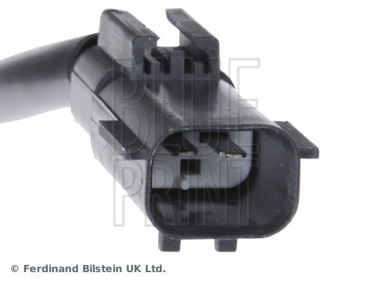 Blue Print ADA101306