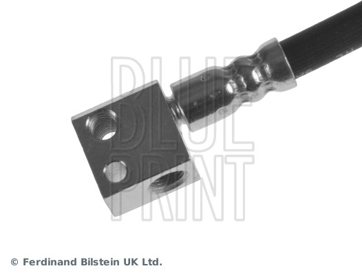 Blue Print ADH253194