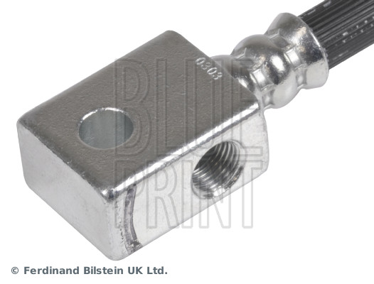 Blue Print ADN153170