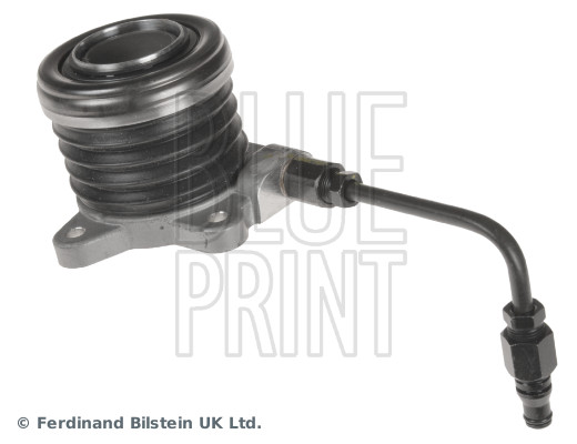 Blue Print ADG03657