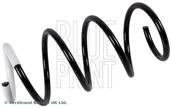 Blue Print ADN188374