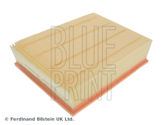 Blue Print ADV182208