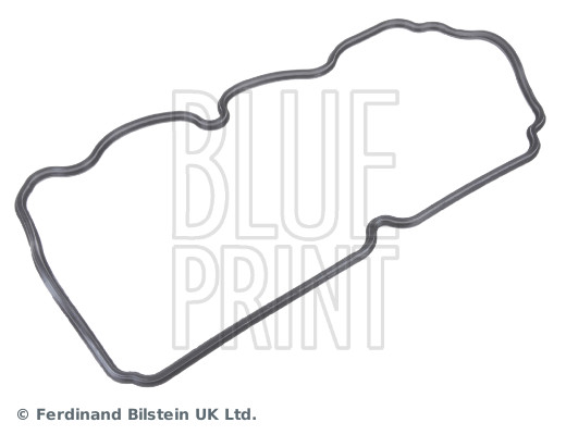 Blue Print ADG06716