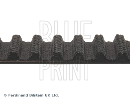 Blue Print ADM57537