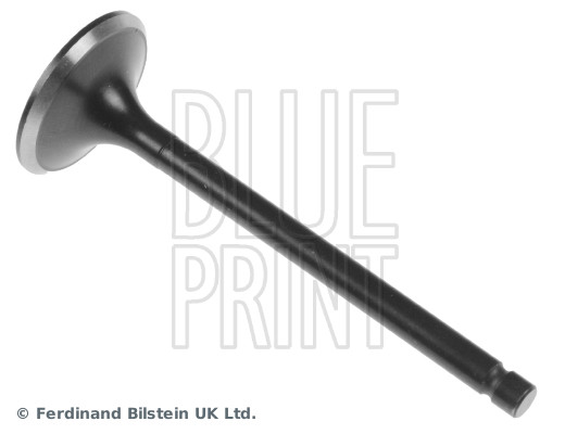 Blue Print ADU176102