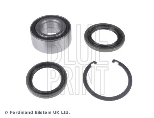 Blue Print ADG08278