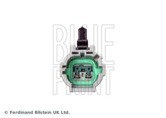 Blue Print ADN18253