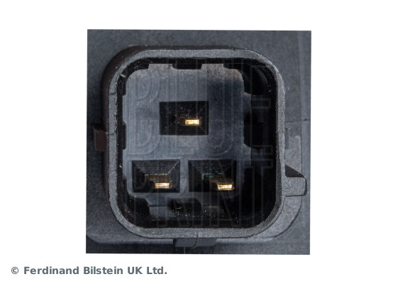 Blue Print ADG00307