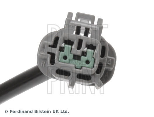 Blue Print ADN17120C