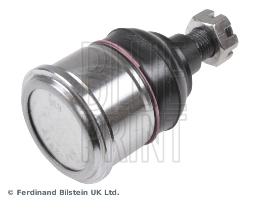 Blue Print ADH286132