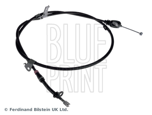 Blue Print ADN146344