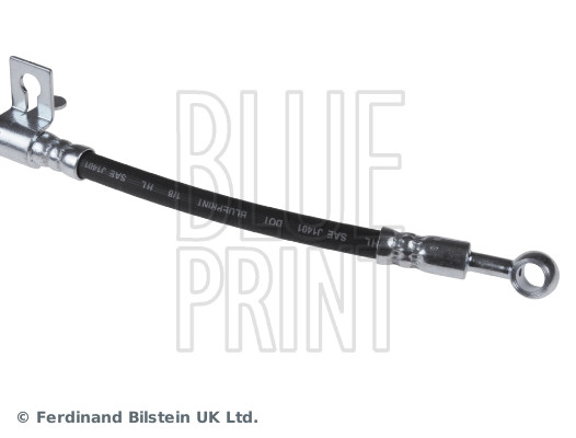 Blue Print ADG053165