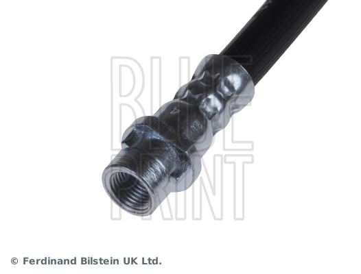 Blue Print ADG053279