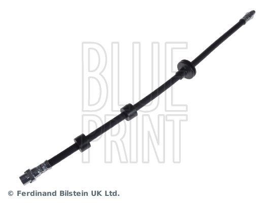 Blue Print ADJ135318