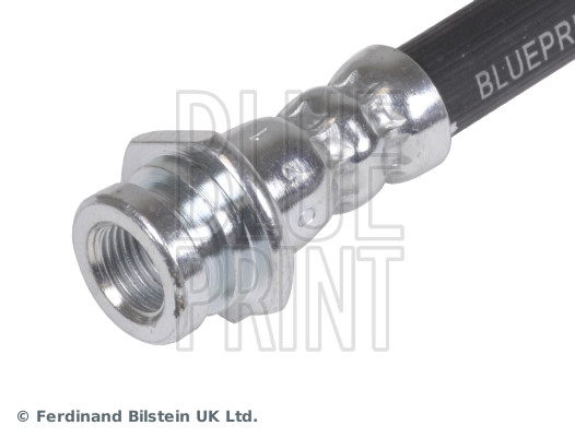 Blue Print ADN153189