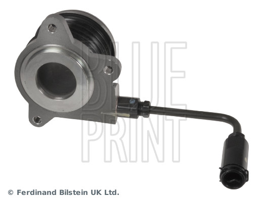 Blue Print ADG03656