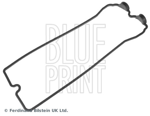Blue Print ADN16749